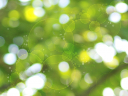 green bokeh backgroundの写真素材