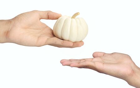 Gift.Hand and the pumpkin on a white background.の写真素材