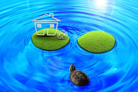 Turtle was found floating island.の写真素材