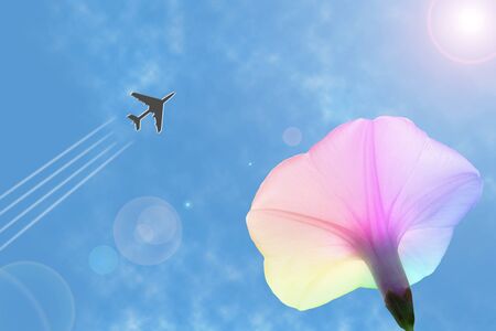 Flowers on the plane.の写真素材