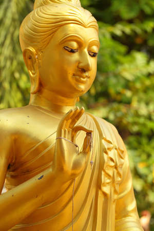 Thai Buddha statues in the temple の写真素材