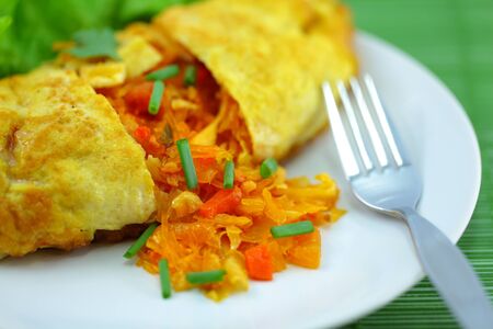 Omelet stuffed with spice の写真素材