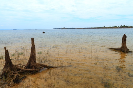 Along the shores of the lake の写真素材