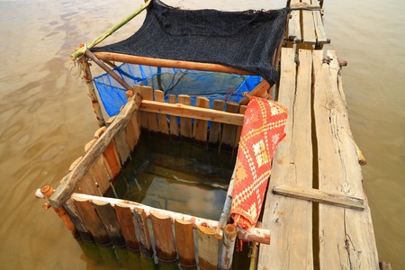 Fish that the fishermen の写真素材