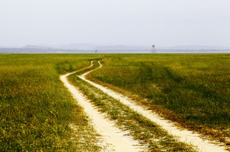 Road in meadow の写真素材