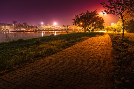 Walk in the park at night.の写真素材