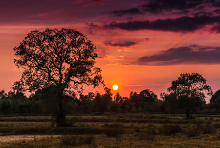 Landscape field and sunset views.の写真素材