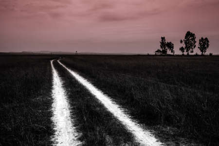 Walk in the meadow at night 