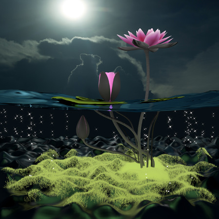 Lotus 3d rendering in background abstract.の写真素材