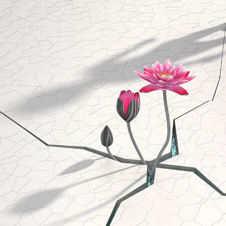 3d lotus in abstract background.の写真素材