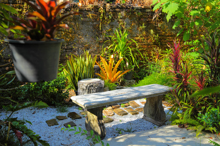 Garden behind the house in the morning.の写真素材