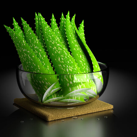 3d rendering of the Aloe Vera Plant.の写真素材