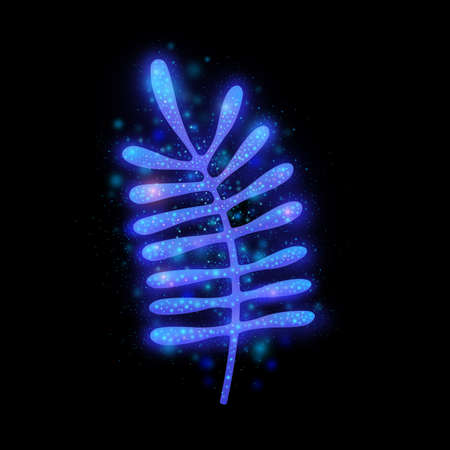 Blue design element isolated on black backgroundの写真素材