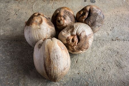 Coconuts.