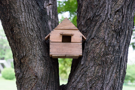 Wooden bird house by humans.