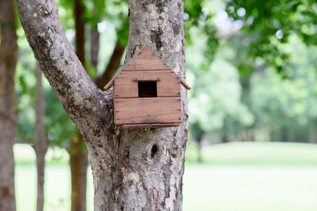 Wooden bird house by humans.の写真素材