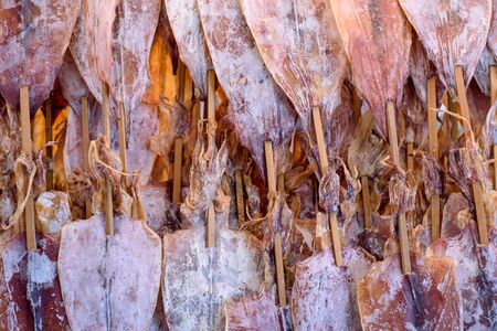 Grilled squidの写真素材