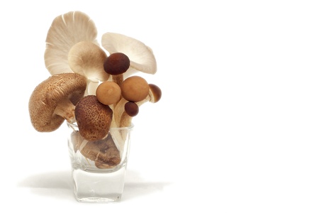 Mixed mushroomの写真素材