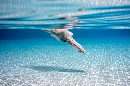Jumping in to blue swimming pool  under waterの写真素材