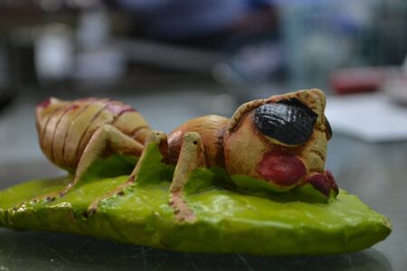 Pottery  ants on a leaf  