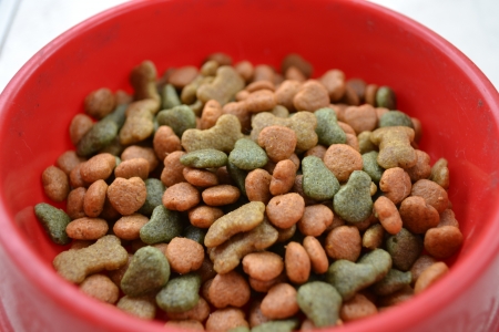 Dog food 