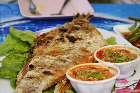 Salt fish and seasoning.の写真素材