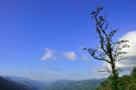 The three in front of naturel mountain backgroundの写真素材