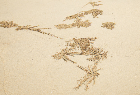 Crab's hole on the beach
