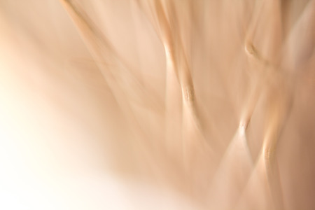 Abstrack for background.の写真素材