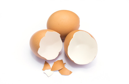 eggshell