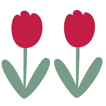 Vector illustration of red tulips in flat style isolated on white background.のイラスト素材