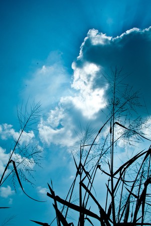 sunlightの写真素材