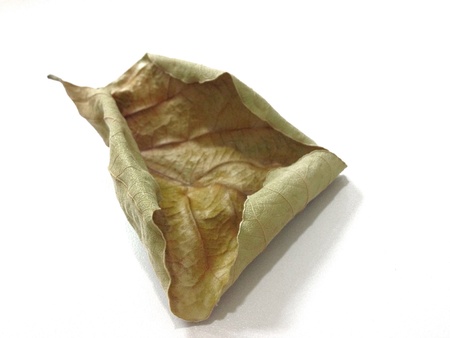 a dry leafの素材