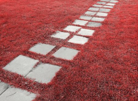 Red field and blockの素材