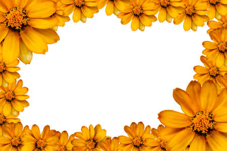 flower frameの写真素材