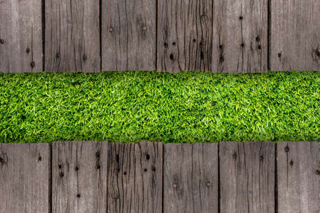 green grass textureの写真素材