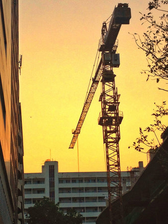 A crane 