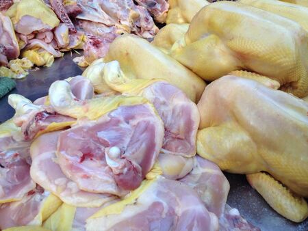 Chicken meatの素材