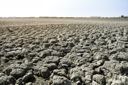 Land with dry and cracked ground. Desert thailand local