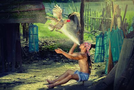 Gamecock warm this is lifestyle of peoples in Asia, Rural farmer with chicken at...