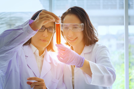 Young female scientist standing with techer in lab worker making medical research in modern laboratory. Scientist holding documents folder with analysis results.の写真素材