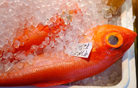Red fish flesh in the fish market okinawa