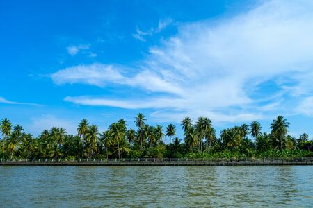 lake and palms beatiful summer under a the blue sky take a boat to enjoy the view along the side of the river at meaklong river, Ampawa, Thailand の写真素材