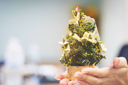 Close up shot of female hands holding a small Christmas tree