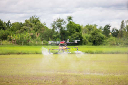 Agriculture drones fly over rice fields sprinkling fertilizer, High-resolution photographs of industrial drones spraying chemicals on rice paddies and fieldsの写真素材