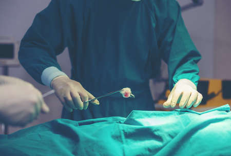 In a modern operating room, a medical team is doing a surgical operation, with professional medical...