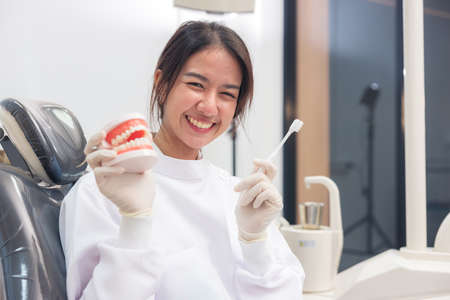 On the artificial jaw, the doctor clearly demonstrates how to brush the patient's teeth with a toothbrush.の写真素材