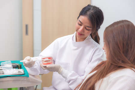 On the artificial jaw, the doctor clearly demonstrates how to brush the patient's teeth with a toothbrush.の写真素材