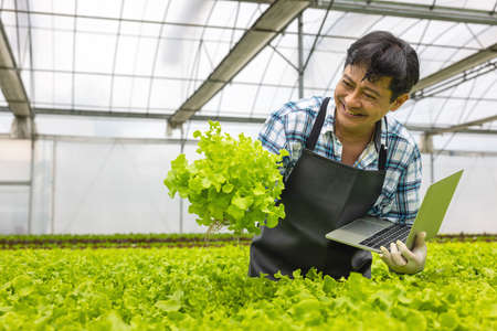 In a greenhouse environment, an agricultural researcher examines plants with a laptop computer while holding the laptop.の写真素材