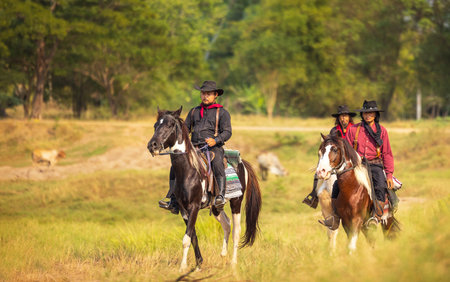 cowboy's way of life include riding a horse around locales.の写真素材